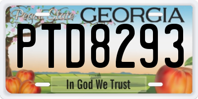 GA license plate PTD8293
