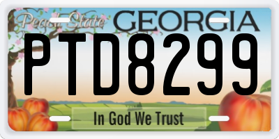 GA license plate PTD8299