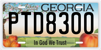 GA license plate PTD8300