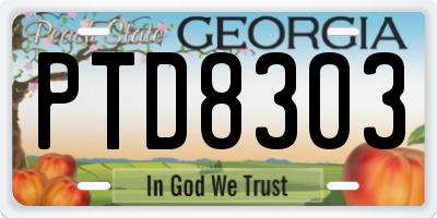 GA license plate PTD8303