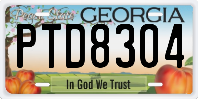 GA license plate PTD8304