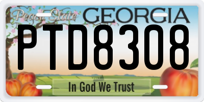 GA license plate PTD8308