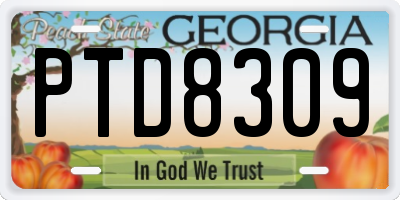 GA license plate PTD8309