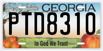 GA license plate PTD8310