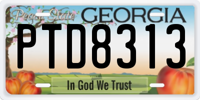 GA license plate PTD8313