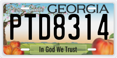 GA license plate PTD8314