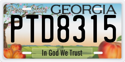 GA license plate PTD8315