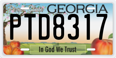 GA license plate PTD8317