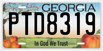 GA license plate PTD8319