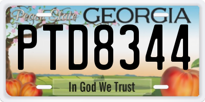 GA license plate PTD8344