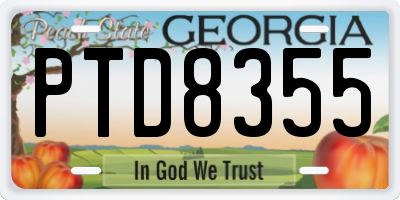 GA license plate PTD8355