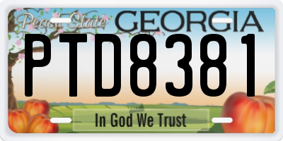 GA license plate PTD8381