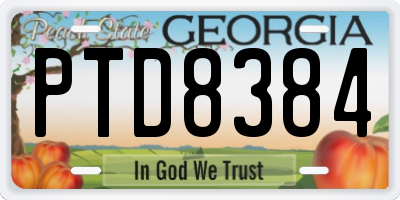 GA license plate PTD8384