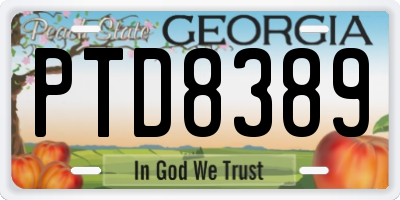 GA license plate PTD8389