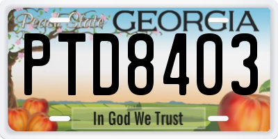 GA license plate PTD8403