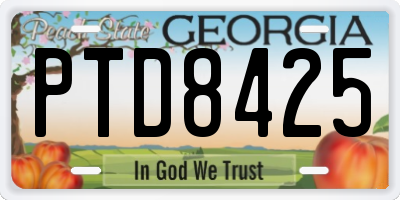 GA license plate PTD8425