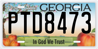 GA license plate PTD8473