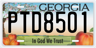 GA license plate PTD8501