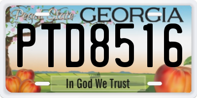 GA license plate PTD8516
