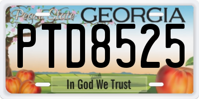 GA license plate PTD8525