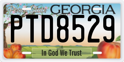 GA license plate PTD8529