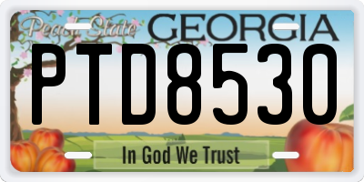 GA license plate PTD8530
