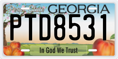 GA license plate PTD8531
