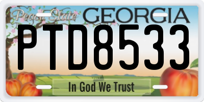 GA license plate PTD8533