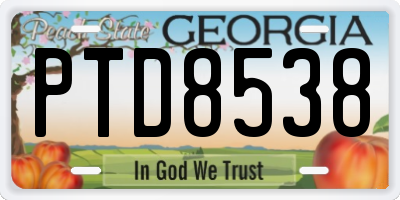 GA license plate PTD8538