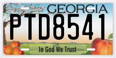 GA license plate PTD8541