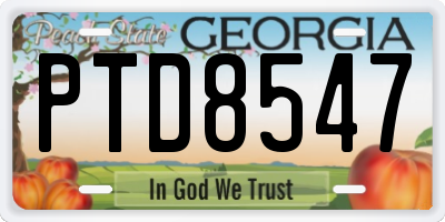GA license plate PTD8547