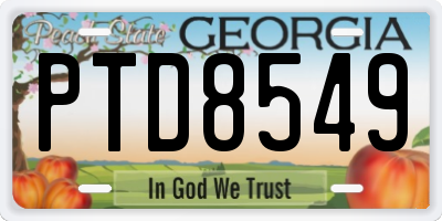 GA license plate PTD8549