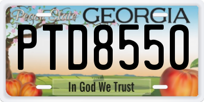 GA license plate PTD8550