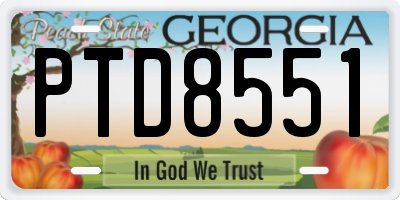 GA license plate PTD8551