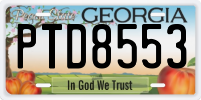 GA license plate PTD8553