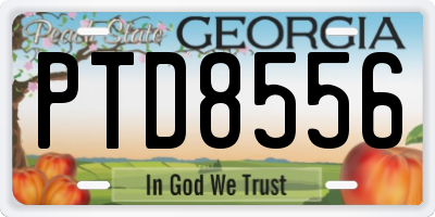 GA license plate PTD8556
