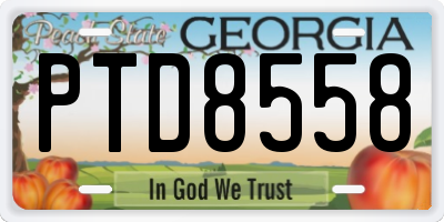 GA license plate PTD8558