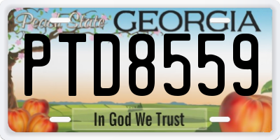 GA license plate PTD8559