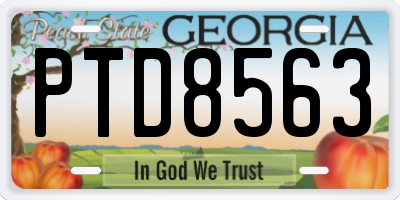 GA license plate PTD8563