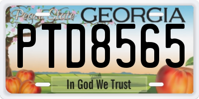 GA license plate PTD8565