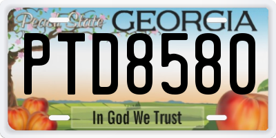 GA license plate PTD8580
