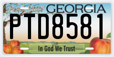 GA license plate PTD8581