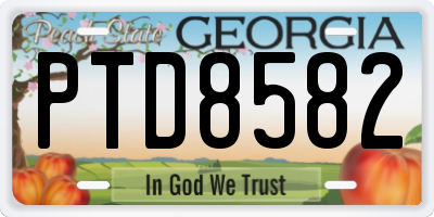 GA license plate PTD8582