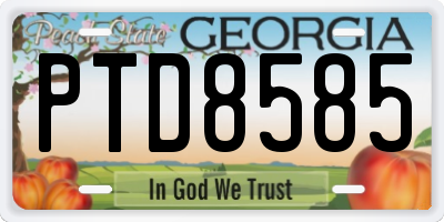 GA license plate PTD8585