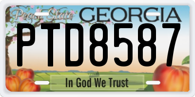 GA license plate PTD8587