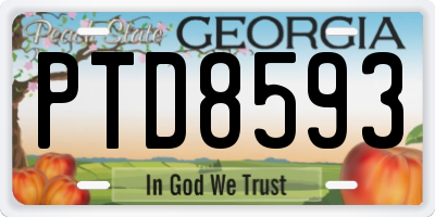 GA license plate PTD8593