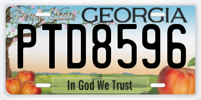 GA license plate PTD8596