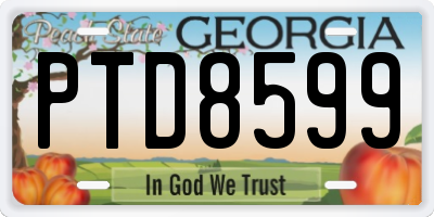 GA license plate PTD8599