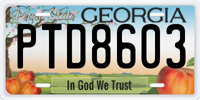 GA license plate PTD8603