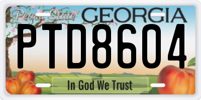 GA license plate PTD8604